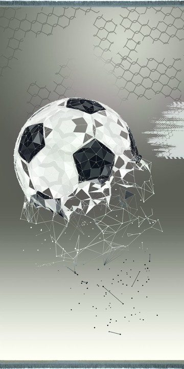 فرش آرات 2