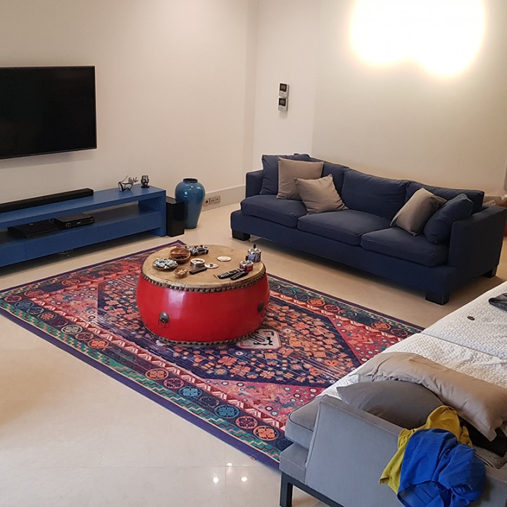 عکس فرش هانیا