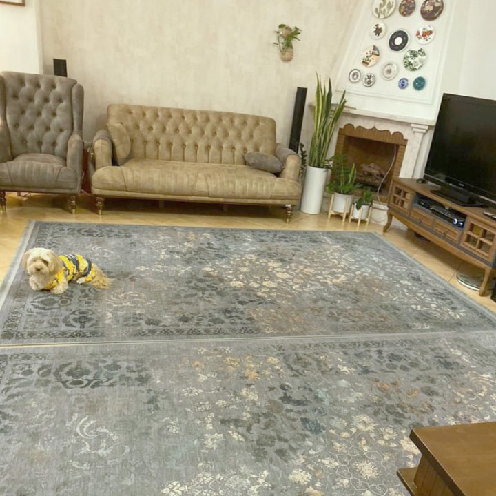 عکس فرش دلوان