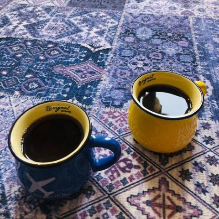 عکس فرش روناک